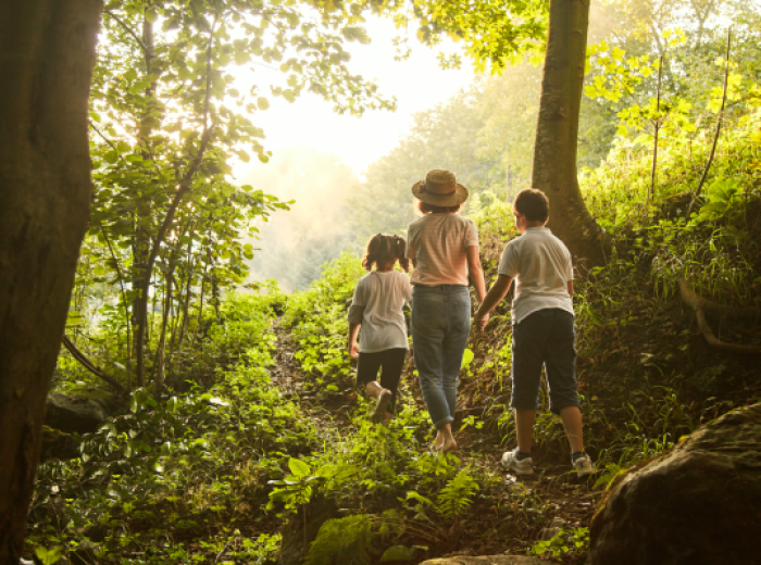 A woman and two children are walking on a lush, green forest trail during daylight, surrounded by trees and foliage, enjoying nature.