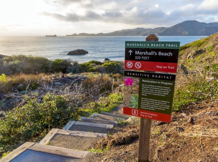 A sign points to Marshall's Beach, warning visitors to stay on the trail to protect the sensitive habitat, with a coastal scenic background ending the sentence.